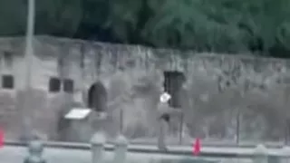 Wild couple fucing in park