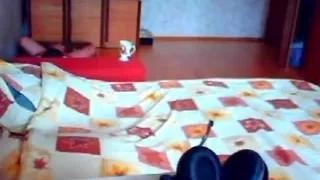 Amateurs pair having joy