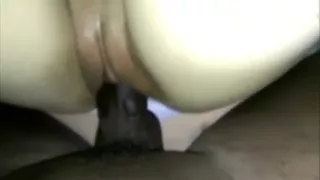 a humble king still life!