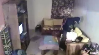 Camara de seguridad de una zorra