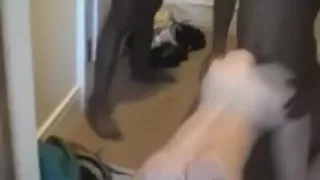 wife team-fucked by bbc