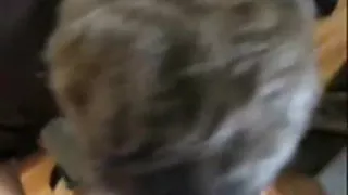 dreißig Minuten Zusammenstellung von alten verschlingenden Schwänzen