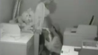 Versteckter Sex, Lesbensex, Webcamsex