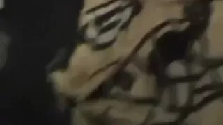 corpulent plumper on her back with her legs up in the air awaiting to acquire her cookie filled with dark meat