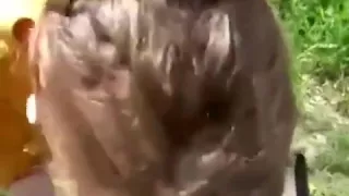 girlfriend gives me an outside irrumation