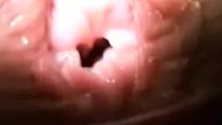 Mi compilacion puta sucia