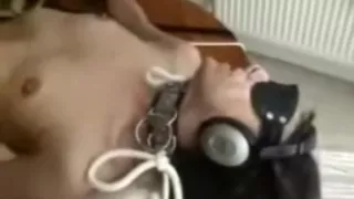 Bound up cutie to multiple orgasms