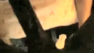 Sucking that bbc and taking it from behind