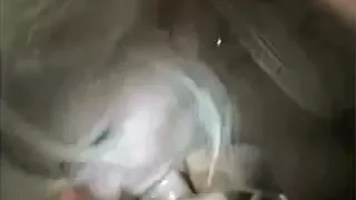 Wife with wonderful mounds and gazoo suck and doggy.avi