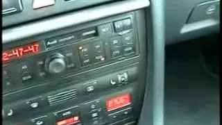 Sexy firecracker really enjoys his schlong