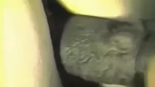 A Massive Dark Ramrod Copulates White Cutie