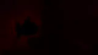 Asiatische Frau Bareback und Creampie mit Freund des Ehemannes