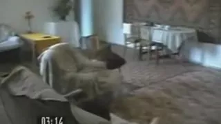 Russian at home sextape