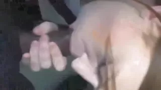 White angel loves to taste his darksome cum