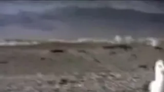 Strand, Bikini, Paar, Interracialsex, Sex im Freien, Höschen