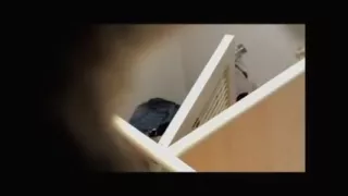 College beauty enjoying sucking hard strapon