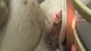 Candle wax on my cock for whore domina