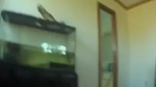 Darksome Brown fucking hard