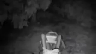 Quick hardcore fuck in the park