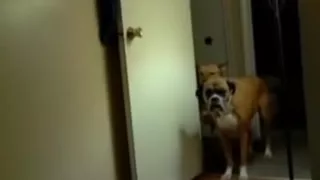 My gal lying naked in front a webcam