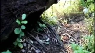 pair receives nasty in woods