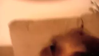 My big-titted honey got facialized