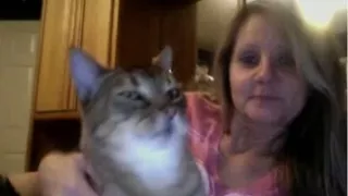 Compilation porn video with lesbians