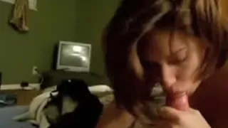 Big tits fat chick sucks cock