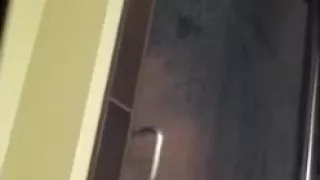 Busty girl caught on a spy camera