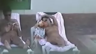 hedonism iii topless chick