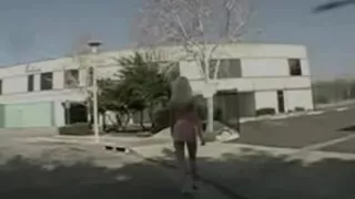 public plug tail wild sex