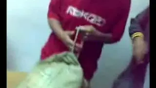 Hot amateur sex above the toilet