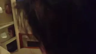 Getting head from gal I just met 2