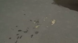 My Mistress Movie 17