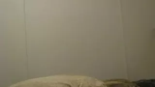 Hot dance hump pon pillow (Best of Anlife)