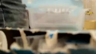 Blow job at the table