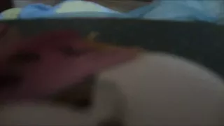 Chubby webcam slut fingers her pussy