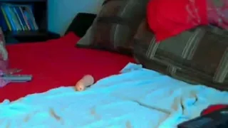 Horny Latin Legal Age Teenager, Love To Play With Immodest Cleft In Doggy