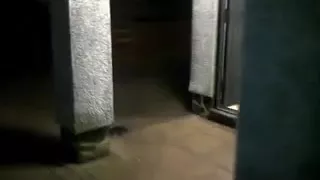 Real Genuine Magnificence Hole