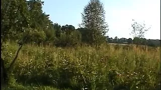 aged non-professional farmed slut toying with vegetables and fruit