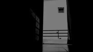 Porn Theatre Of Shadows