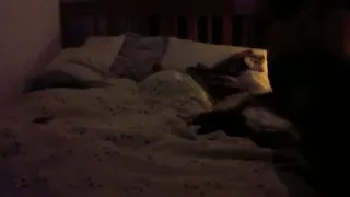 Mature in law full real video scene