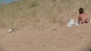 gorgeous french darksome brown in nature's garb on beach