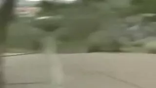 cute hottie driving stick