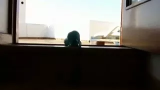 Clip Wifes Intensive Agonorgasmos