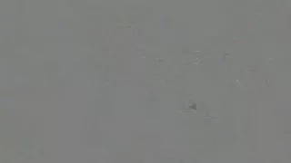 Sexy non-professional mature playing with her scones