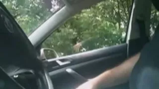 Hooker Gives Me A Quick Oral-Service Job In The Car