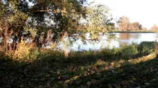 Platinum Blonde Wife Riverside Oral-Stimulation Joy