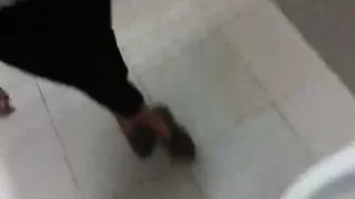 Public Toilets Oral-Job Joy