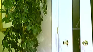 Web Camera Chronicles 98
